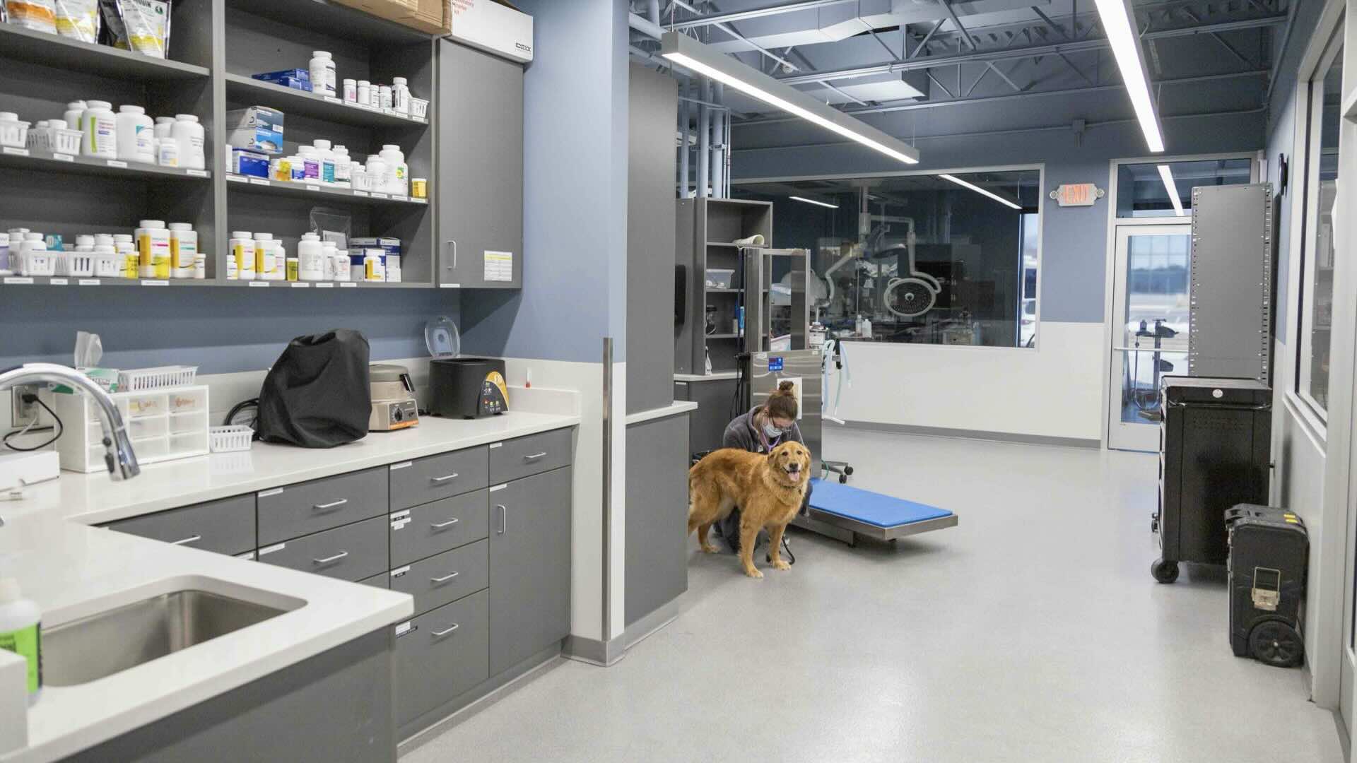 Featured image for “Custom Casework Solutions for Sirius Vet Clinic in Omaha”